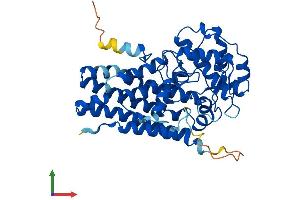 AlphaFold protein structure predicition of Mouse Recombinant Ido1 Protein, UniprotID P28776