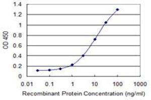 Detection limit for recombinant GST tagged STXBP4 is 0. (STXBP4 抗体  (AA 1-245))