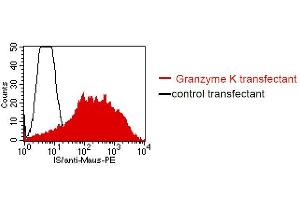 FACS analysis of BOSC23 cells using C3. (GZMK 抗体)