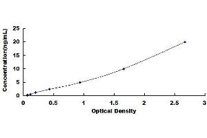 Typical standard curve (NR5A2 + LRH1 ELISA 试剂盒)