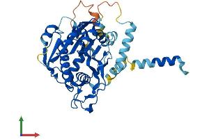 Protein Structure (PS) image for UDP-Gal:betaGlcNAc beta 1,3-Galactosyltransferase, Polypeptide 4 (B3GALT4) (AA 1-371) protein (His tag) (ABIN7556340)