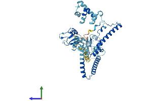 Protein Structure (PS) image for Transcriptional Adaptor 2A (TADA2A) (AA 1-443) protein (His tag) (ABIN7544110)
