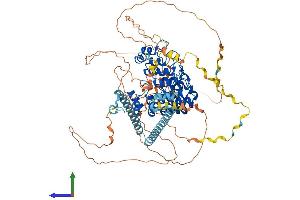 Protein Structure (PS) image for Espin (ESPN) (AA 1-854) protein (His tag) (ABIN7553834)