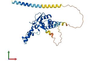 Protein Structure (PS) image for Nogo B Receptor (NUS1) (AA 1-293) protein (His tag) (ABIN7554752)
