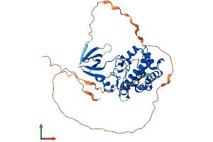 Protein Structure (PS) image for Tribbles Homolog 1 (TRIB1) (AA 1-372) protein (His tag) (ABIN7559576)