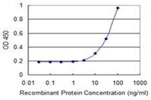 Detection limit for recombinant GST tagged HOXB9 is 3 ng/ml as a capture antibody. (HOXB9 抗体  (AA 65-163))