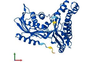 Protein Structure (PS) image for Galactokinase 1 (GALK1) (AA 1-392) protein (His tag) (ABIN7556190)