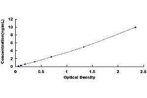 Typical standard curve (SIK2 ELISA 试剂盒)