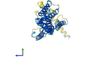 Protein Structure (PS) image for Rhomboid, Veinlet-Like 2 (RHBDL2) (AA 1-303) protein (His tag) (ABIN7551309)