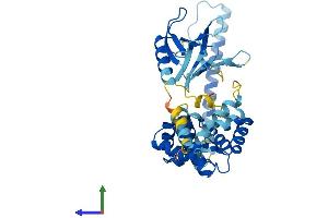 Protein Structure (PS) image for Cytohesin 1 (CYTH1) (AA 1-398) protein (His tag) (ABIN7546895)