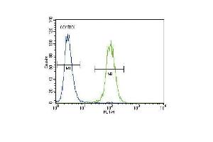 Flow Cytometry (FACS) image for anti-Plasminogen Activator, Urokinase (PLAU) (AA 396-426), (C-Term) antibody (ABIN392797)