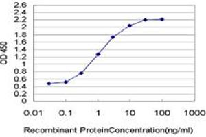 Detection limit for recombinant GST tagged PWP1 is approximately 0. (PWP1 抗体  (AA 1-501))