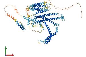 Protein Structure (PS) image for Stimulated By Retinoic Acid 6 (STRA6) (AA 1-670) protein (His tag) (ABIN7562555)