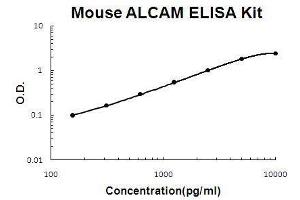 Mouse ALCAM PicoKine ELISA Kit standard curve (CD166 ELISA 试剂盒)