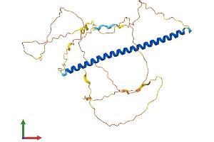 AlphaFold protein structure predicition of Mouse Recombinant Fosb Protein, UniprotID P13346