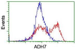 HEK293T cells transfected with either RC224304 overexpress plasmid (Red) or empty vector control plasmid (Blue) were immunostained by anti-ADH7 antibody (ABIN2455873), and then analyzed by flow cytometry. (ADH7 抗体)