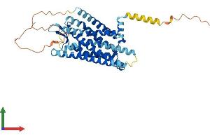 AlphaFold protein structure predicition of Mouse Recombinant Oprk1 Protein, UniprotID P33534