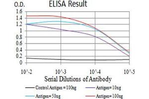 Black line: Control Antigen (100 ng);Purple line: Antigen (10ng); Blue line: Antigen (50 ng); Red line:Antigen (100 ng) (UHRF1 抗体  (AA 616-755))