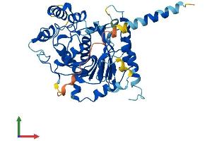 Protein Structure (PS) image for UDP-GlcNAc:betaGal beta-1,3-N-Acetylglucosaminyltransferase 8 (B3GNT8) (AA 1-397) protein (His tag) (ABIN7552524)