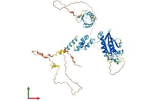 AlphaFold protein structure predicition of Human Recombinant FBXO7 Protein, UniprotID Q9Y3I1 (FBXO7 Protein (AA 1-522) (His tag))