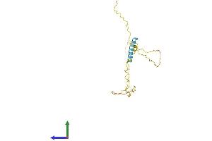 AlphaFold protein structure predicition of Human Recombinant TCEAL6 Protein, UniprotID Q6IPX3