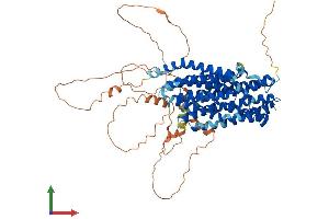 Protein Structure (PS) image for Solute Carrier Family 20 (Phosphate Transporter), Member 1 (SLC20A1) (AA 1-679) protein (His tag) (ABIN7555399)