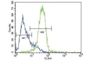 GATA4 antibody flow cytometric analysis of HepG2 cells (green) compared to a negative control (blue). (GATA4 抗体  (AA 298-328))