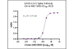 SARS-CoV-2 Spike Antibody (rAb) (AM018553) tested by ELISA. (Recombinant SARS-CoV-2 Spike 抗体)