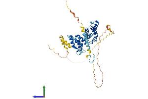 Protein Structure (PS) image for Zinc Finger, CCHC Domain Containing 12 (ZCCHC12) (AA 1-402) protein (His tag) (ABIN7545429)