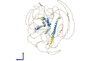 PHC3 Protein (AA 1-981) (His tag)
