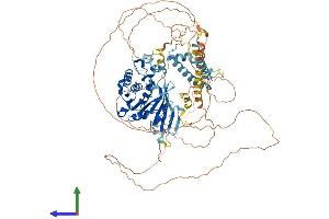 AlphaFold protein structure predicition of Mouse Recombinant Tgs1 Protein, UniprotID Q923W1