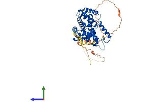 AlphaFold protein structure predicition of Human Recombinant CCNE1 Protein, UniprotID P24864