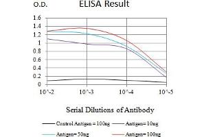 Black line: Control Antigen (100 ng),Purple line: Antigen (10 ng), Blue line: Antigen (50 ng), Red line:Antigen (100 ng) (SALL4 抗体  (AA 96-359))