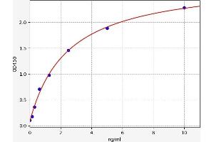 Nitric Oxide Synthase 1, Neuronal (NOS1) ELISA Kit