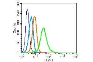 U937 cells probed with 	TRAF2 Polyclonal Antibody  at 1:100 for 30 minutes followed by incubation with a PE conjugated secondary (green) for 30 minutes compared to control cells (blue), secondary only (light blue) and isotype control (orange). (TRAF2 抗体  (AA 401-501))