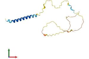 Protein Structure (PS) image for SLP Adaptor and CSK Interacting Membrane Protein (SCIMP) (AA 1-150) protein (His tag) (ABIN7557284)
