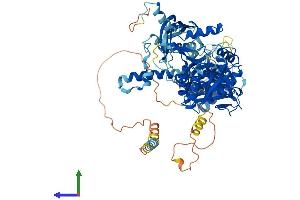 Protein Structure (PS) image for Chondroitin Sulfate Synthase 1 (CHSY1) (AA 1-800) protein (His tag) (ABIN7564165)