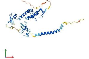 Protein Structure (PS) image for Ring Finger Protein 144B (RNF144B) (AA 1-301) protein (His tag) (ABIN7558719)