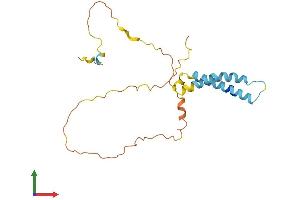 AlphaFold protein structure predicition of Human Recombinant TMEM134 Protein, UniprotID Q9H6X4