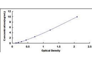 Myosin VA (MYO5A) ELISA Kit