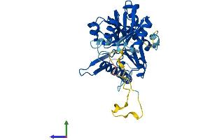 Protein Structure (PS) image for phosphoribosyl Pyrophosphate Synthetase-Associated Protein 1 (PRPSAP1) (AA 1-356) protein (His tag) (ABIN7548751)