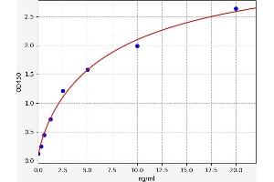 Granulin (GRN) ELISA Kit