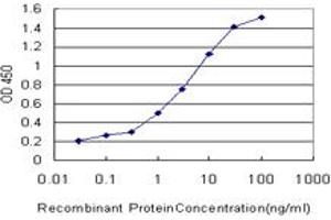 Detection limit for recombinant GST tagged PDK2 is approximately 0. (PDK2 抗体  (AA 187-276))