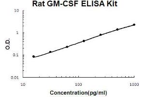 Rat GM-CSF Accusignal ELISA Kit Rat GM-CSF AccuSignal ELISA Kit standard curve. (GM-CSF ELISA 试剂盒)