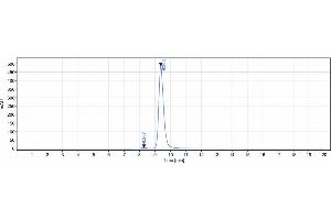 The purity of Anti-AOC3 / VAP1 Reference Antibody (timolumab) is more than 95 % , determined by SEC-HPLC. (Recombinant AOC3 (Timolumab Biosimilar) 抗体)