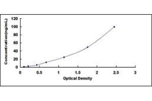 Typical standard curve (HSP70 1A ELISA 试剂盒)