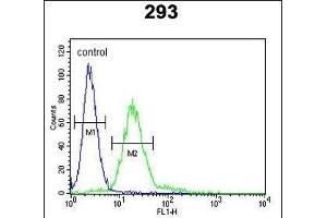 P6 Antibody (Center) (ABIN653148 and ABIN2842720) flow cytometric analysis of 293 cells (right histogram) coared to a negative control cell (left histogram). (MPP6 抗体  (AA 360-388))