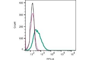 Cell surface detection of CD81 by direct flow cytometry in live intact human Raji lymphoblast B-cell line: + Rabbit IgG Isotype Control-FITC (ABIN7582044). (CD81 抗体  (Extracellular) (FITC))