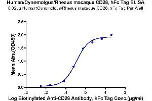 Immobilized Human/Cynomolgus/Rhesus macaque CD28, hFc Tag at 0. (CD28 Protein (CD28) (AA 19-152) (Fc Tag))