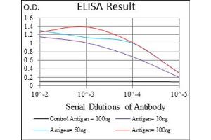 Red: Control Antigen (100ng) ; Purple: Antigen (10ng) ; Green: Antigen (50ng) ; Blue: Antigen (100ng). (IL3RA 抗体  (AA 200-305))